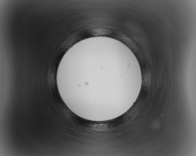 X0000087510426200705251623