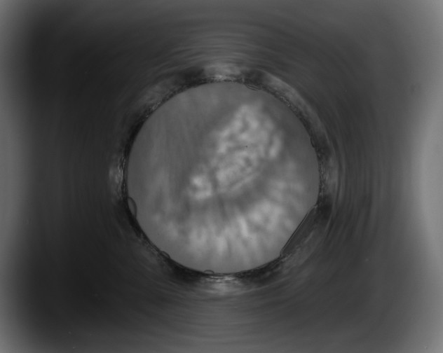 X0000087510427200705251623