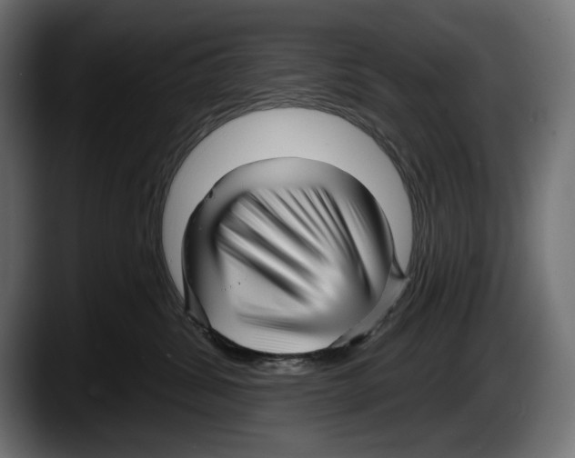 X0000087510428200705251623