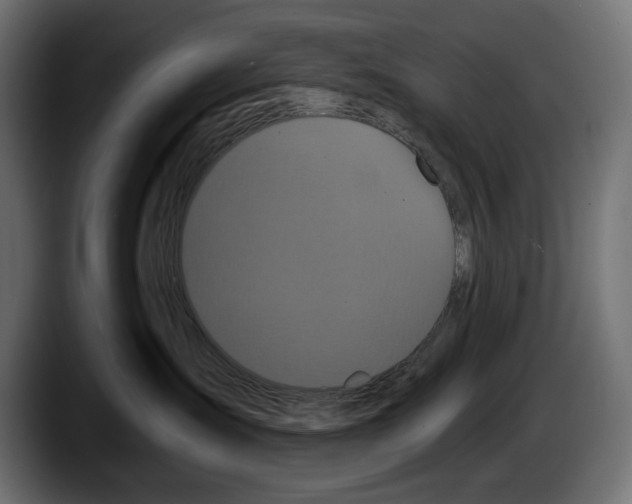 X0000087510431200705251623