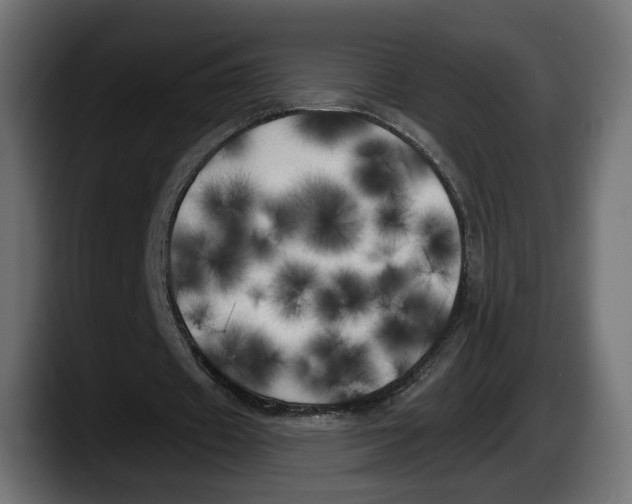 X0000087510433200705251622