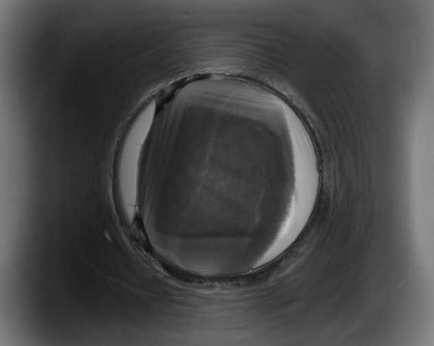 X0000087510434200705251622