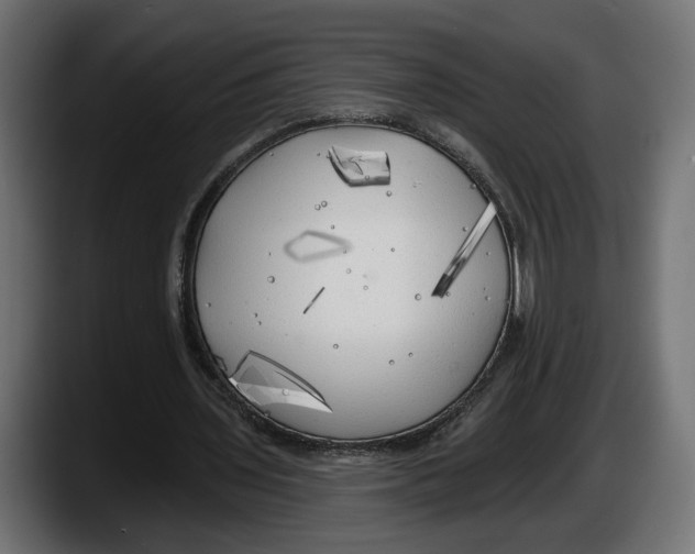 X0000087510435200705251622