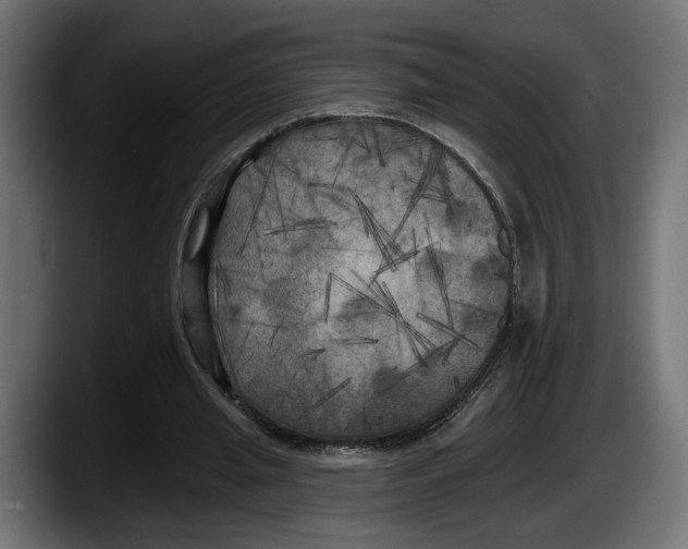 X0000087510437200705251622