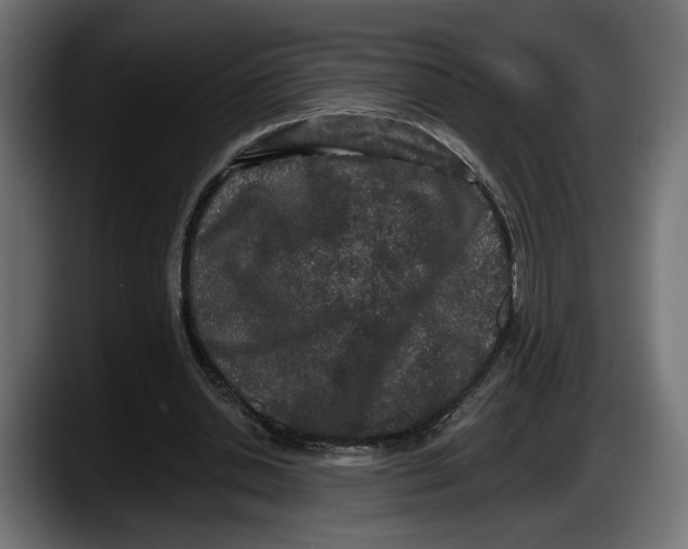 X0000087510438200705251622