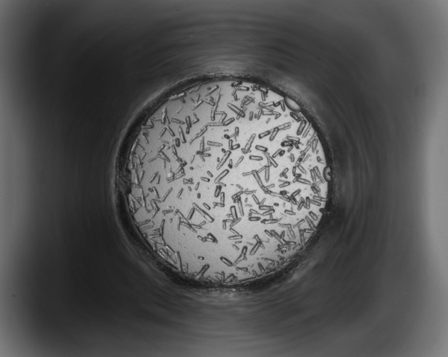 X0000087510439200705251622