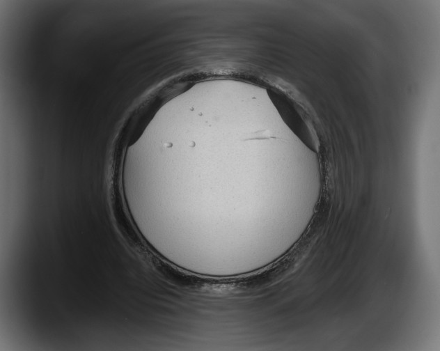 X0000087510440200705251622