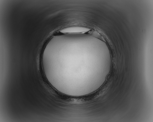 X0000087510442200705251622