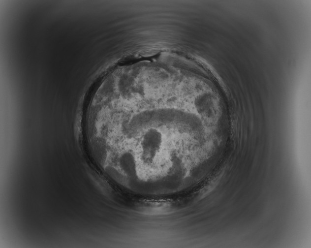 X0000087510443200705251622