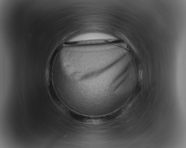 X0000087510444200705251622