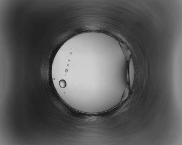 X0000087510446200705251622