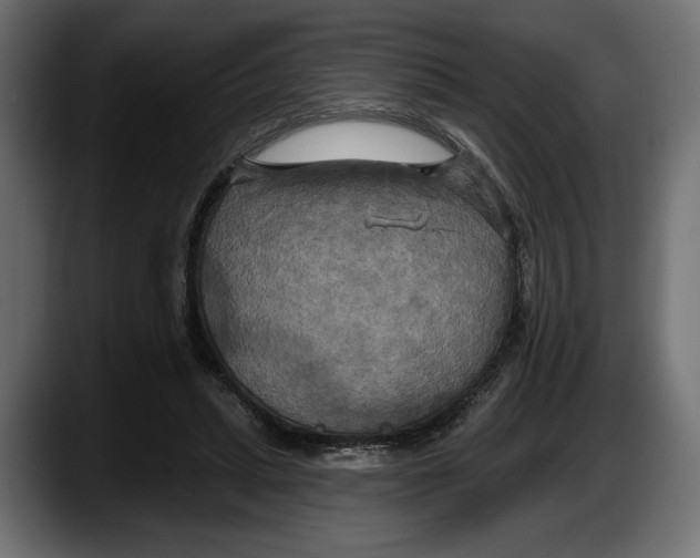 X0000087510447200705251622