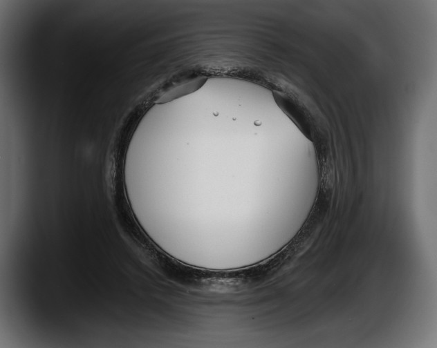 X0000087510448200705251622