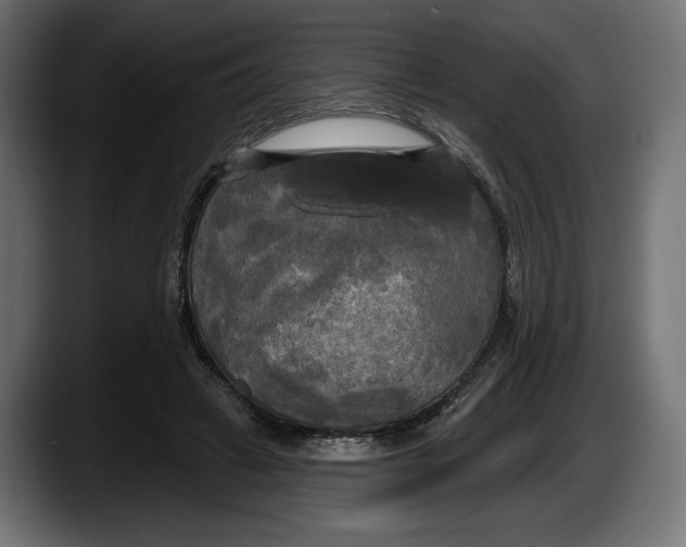 X0000087510449200705251622