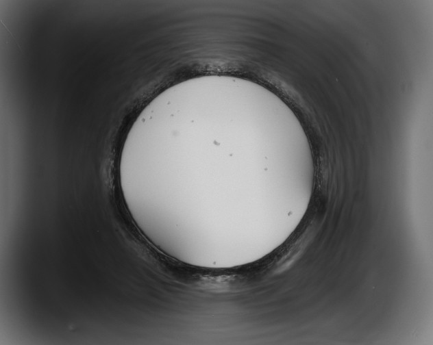 X0000087510450200705251622