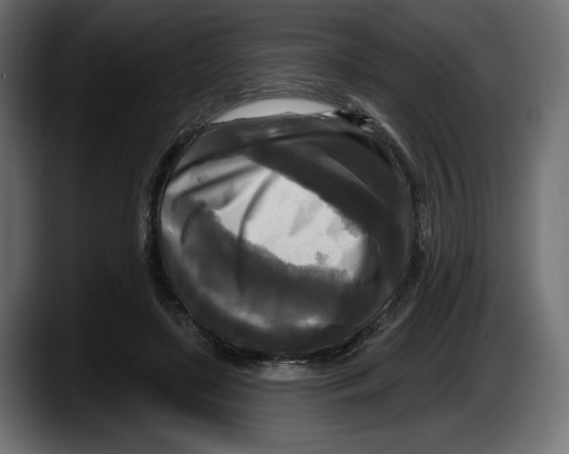 X0000087510451200705251622