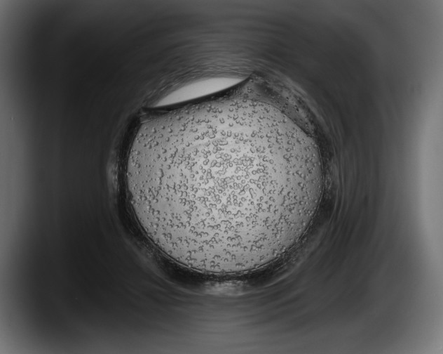 X0000087510452200705251622