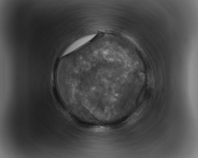 X0000087510453200705251622