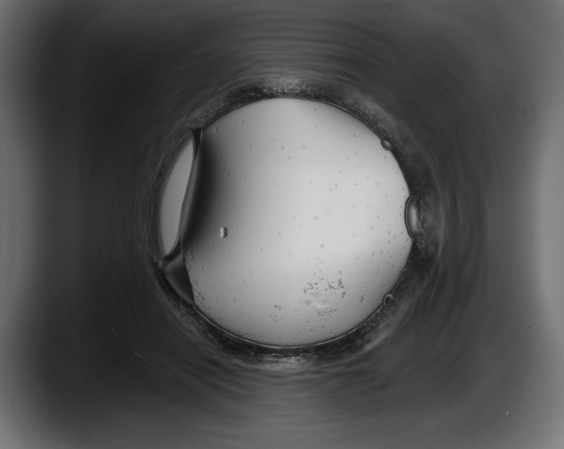 X0000087510454200705251622