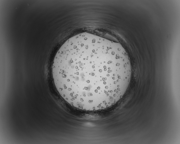 X0000087510455200705251622