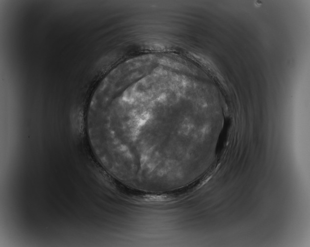 X0000087510457200705251622