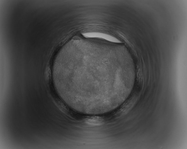 X0000087510459200705251622