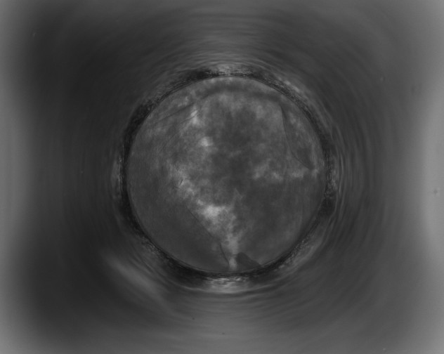 X0000087510461200705251622