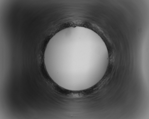 X0000087510464200705251622