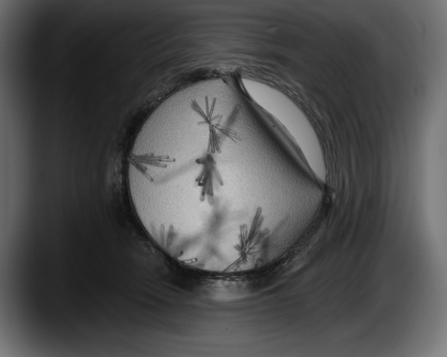 X0000087510466200705251622