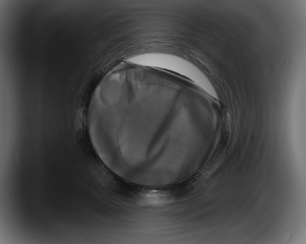 X0000087510467200705251622