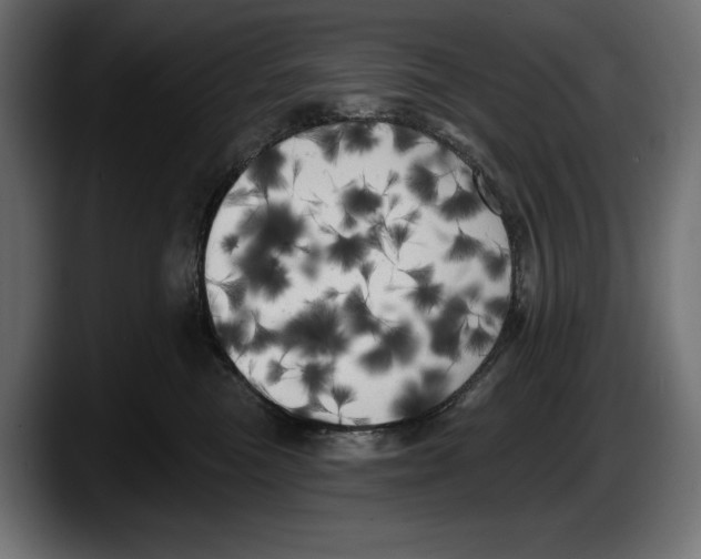 X0000087510473200705251623