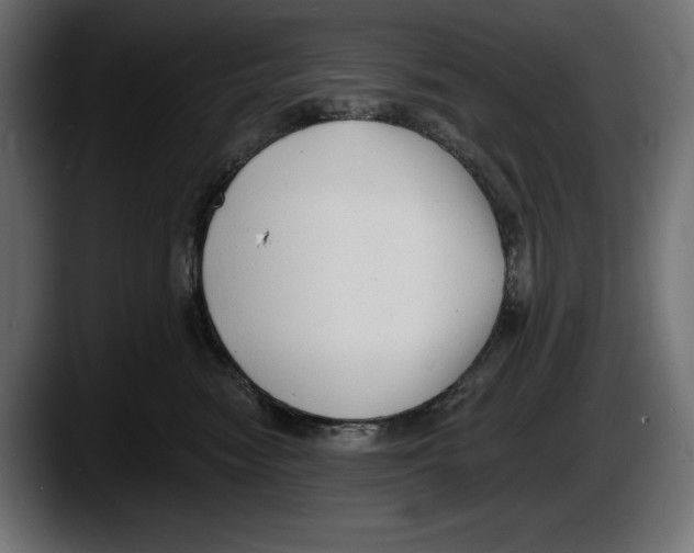 X0000087510474200705251623