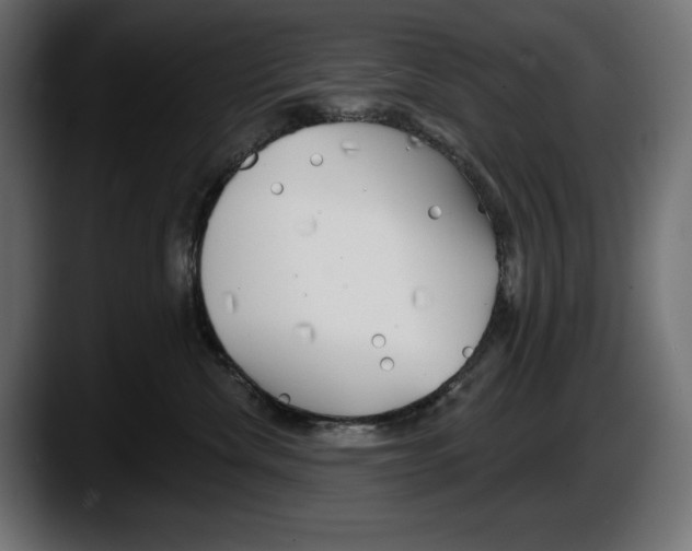 X0000087510476200705251623