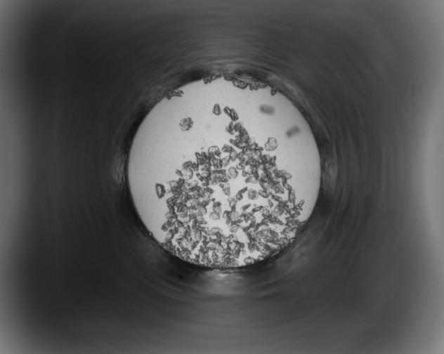 X0000087510477200705251623