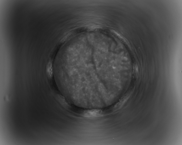 X0000087510479200705251623