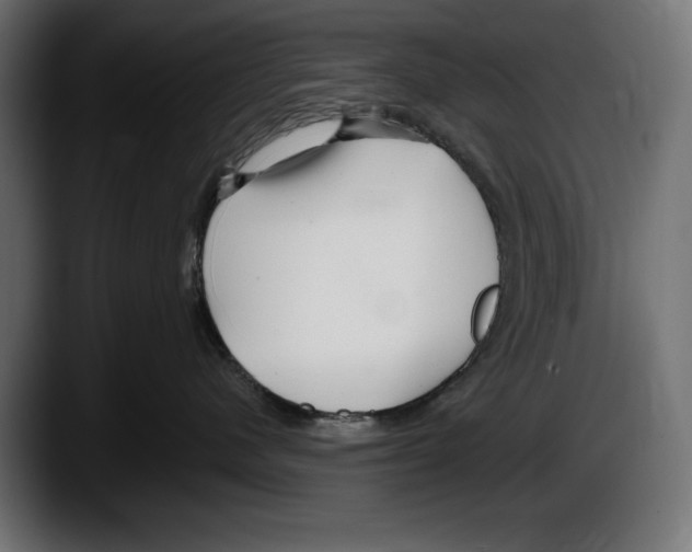 X0000087510480200705251623