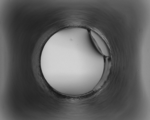 X0000087510481200705251622