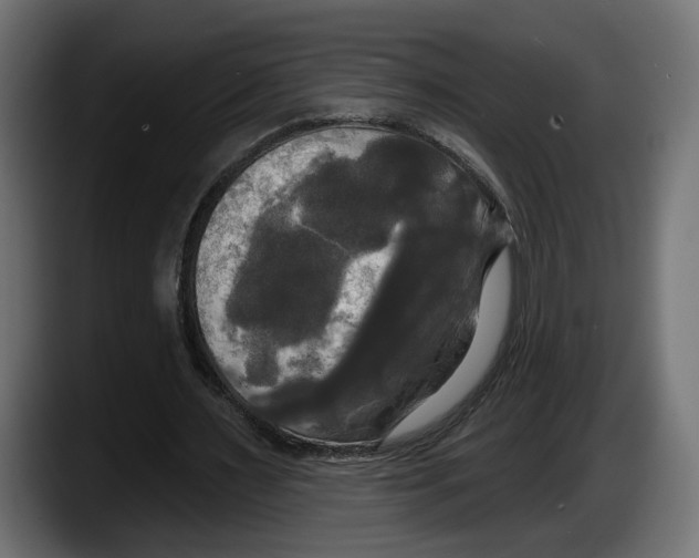 X0000087510483200705251622