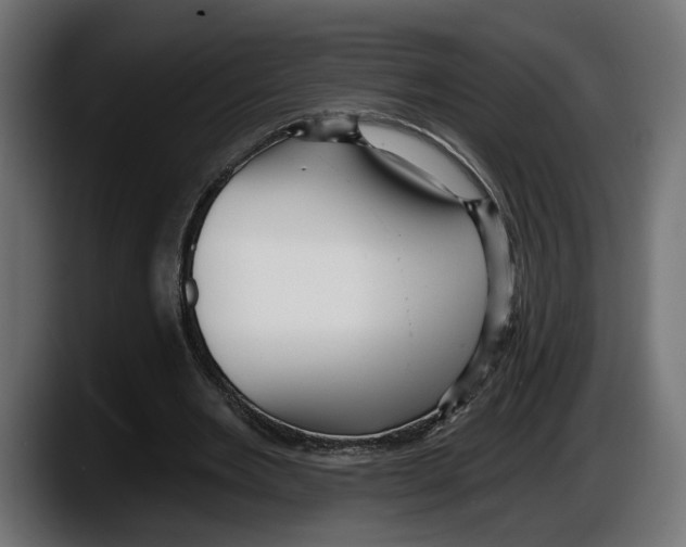 X0000087510485200705251622