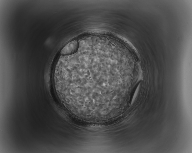 X0000087510487200705251622