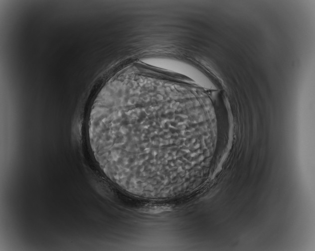 X0000087510491200705251622