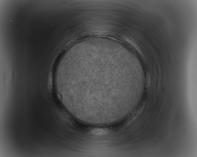 X0000087510494200705251622