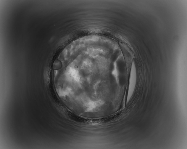 X0000087510495200705251622