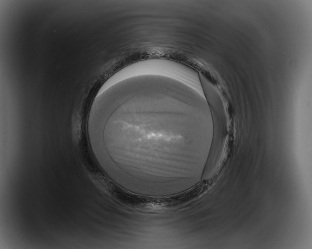 X0000087510496200705251622