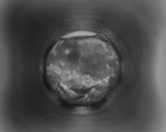 X0000087510499200705251622