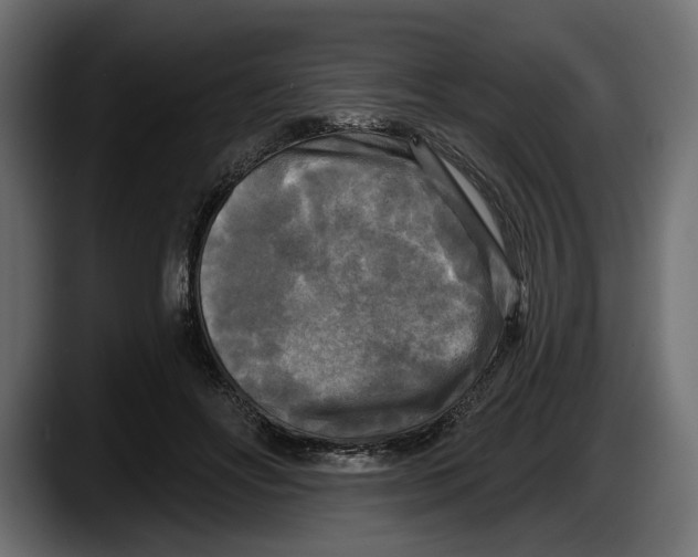 X0000087510502200705251622