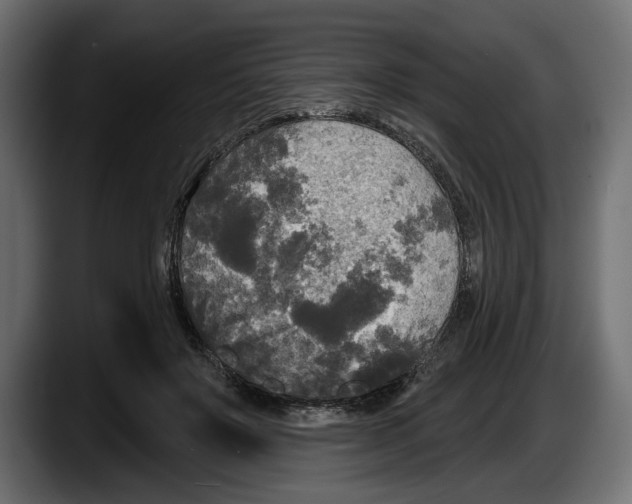 X0000087510503200705251622