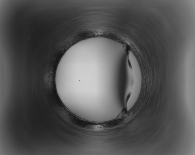 X0000087510509200705251622