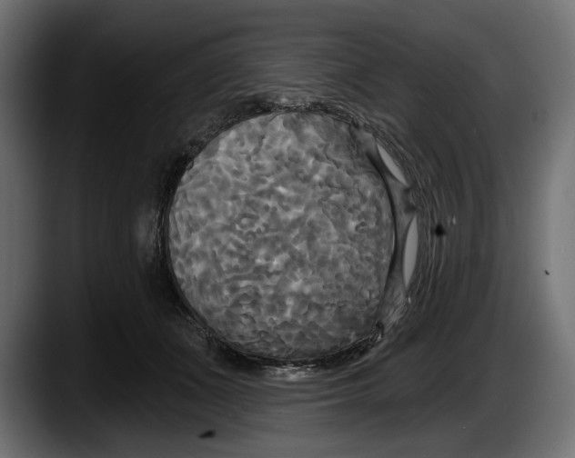 X0000087510511200705251622