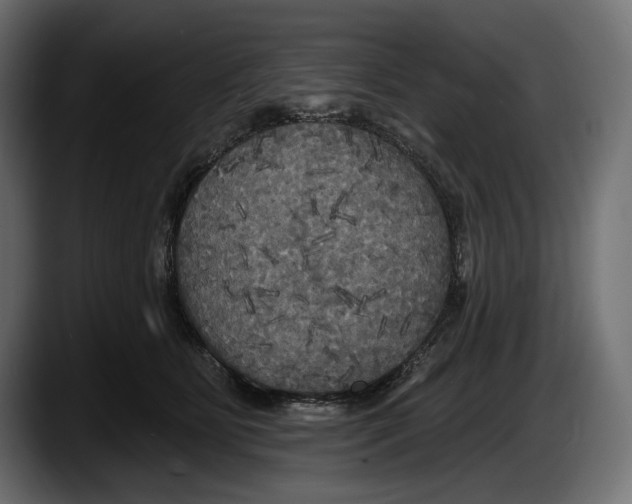 X0000087510515200705251622